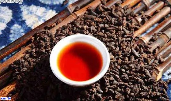 关于大白菜普洱茶的定义和它在普洱茶行业中的独特地位