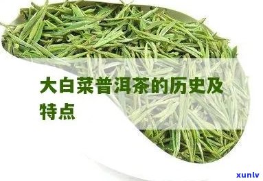 大白菜普洱茶的来历