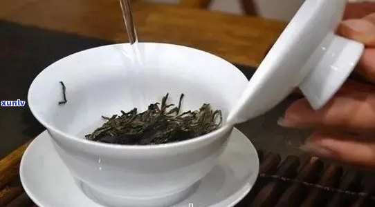 普洱茶叶的品饮 *** ：从冲泡到品鉴，一篇全面指南