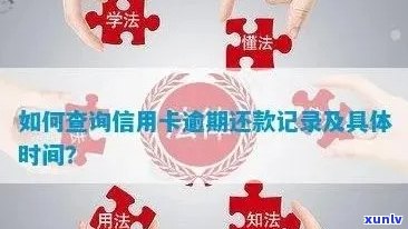 如何查看信用卡逾期记录：详细步骤与注意事项