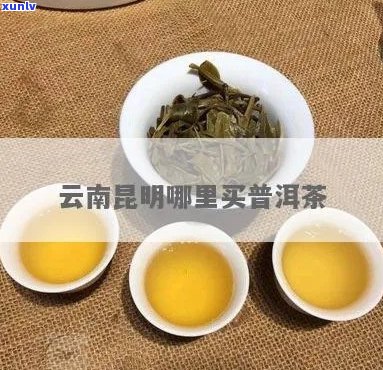 昆明市那里买普洱茶