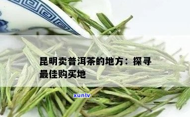 昆明市那里买普洱茶