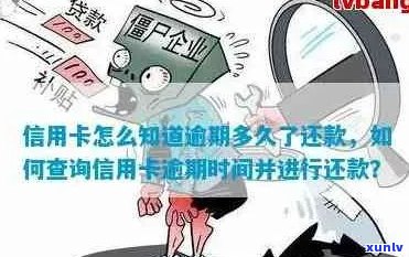 信用卡逾期怎么去查