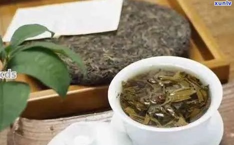 痰湿体质者的普洱茶食用建议：能否作为治疗方式？