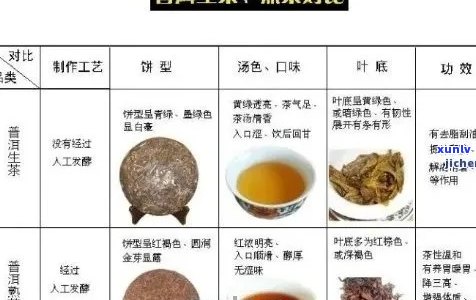 痰湿体质者的普洱茶食用建议：能否作为治疗方式？