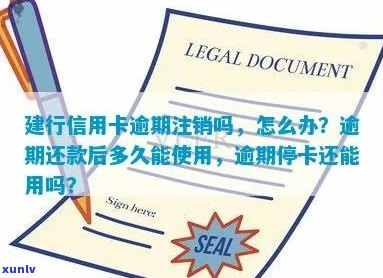 建行信用卡逾期销户以后