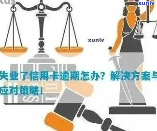 信用卡逾期：律师如何提供法律援助及相关解决方案？