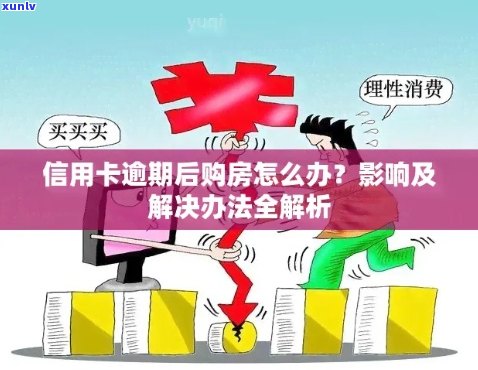 信用卡逾期限制影响买房申请，如何解决？