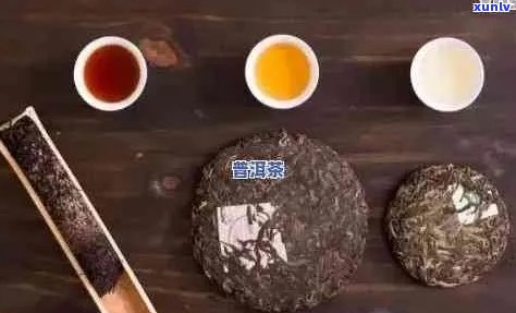 普洱茶饼品鉴与冲泡技巧：深入剖析使用指南