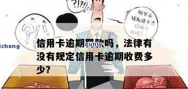 信用卡逾期处理全攻略：法律规定、罚息计算、应对措一网打尽！