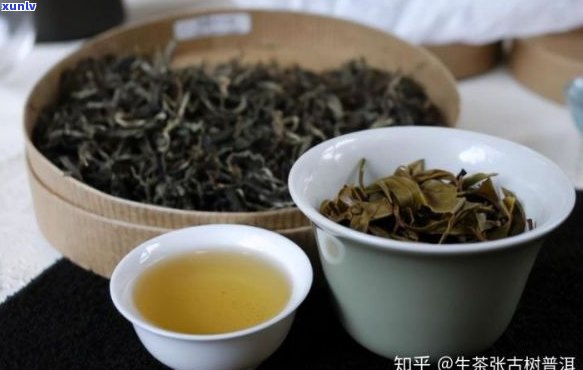 新五寨普洱茶中，哪一款口感更佳？