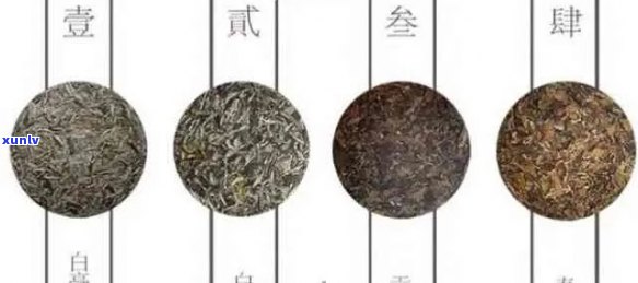 五寨普洱茶品种对比：哪个的口感更佳？