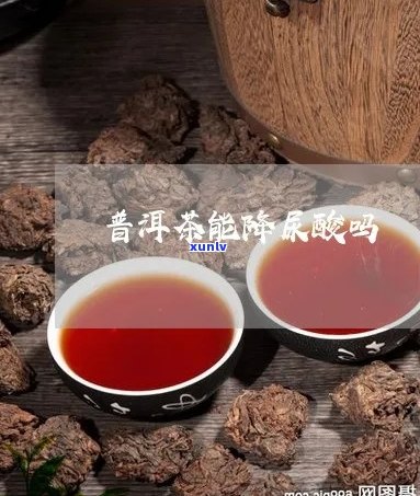 降尿酸能喝普洱茶吗