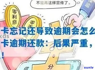 新信用卡逾期还款困境应对策略，如何避免不良信用记录？