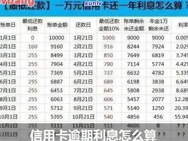 信用卡逾期天数计算公式解析：详尽步骤与影响因素探究