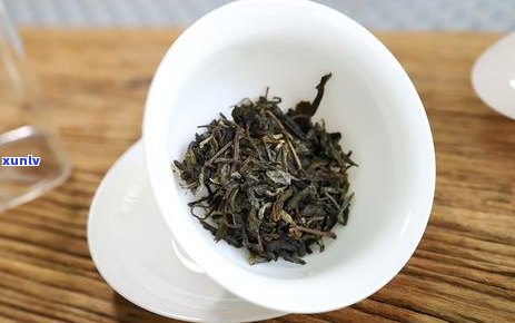 古树茶与普洱茶：品种、价值和市场差异的深度解析