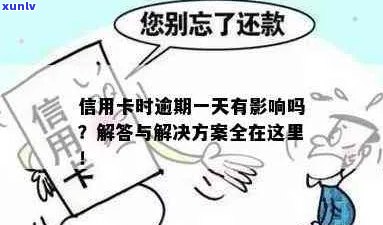 信用卡逾期天数与月份数的区别解析：了解信用状况从这里开始