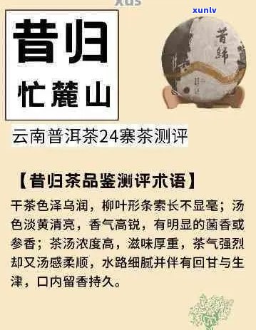 国人说云南普洱茶