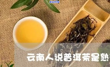 国人说云南普洱茶