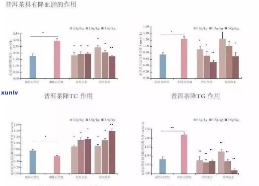 普洱茶对泌乳影响的全面研究：从科学角度解析其作用与影响