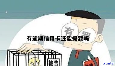 信用卡逾期了还提额