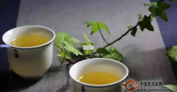 云南普洱茶与正春茶的对比：哪个更适合您的口味？