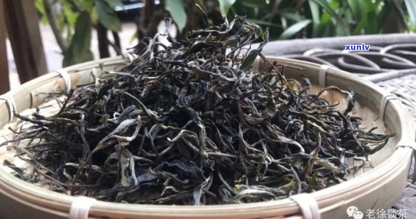 正春和普洱茶哪个好