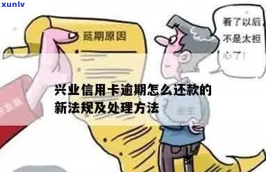 兴业信用卡逾期处理全攻略：最快最有效 *** 解析