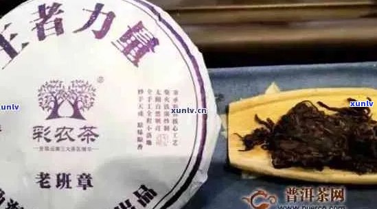 云南七子饼老树茶：价格、品质及购买渠道一应俱全的全面指南