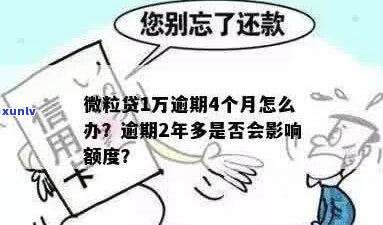 微粒贷逾期1万多2年多了怎么办