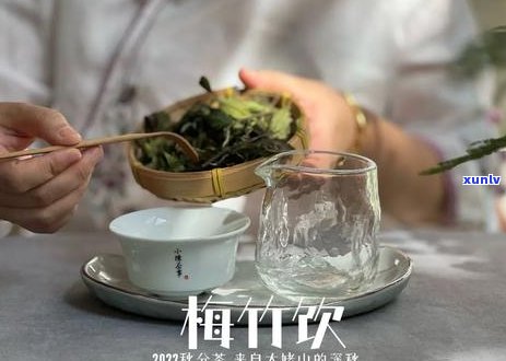 女人喝普洱茶和绿茶哪个更好：减肥效果比较