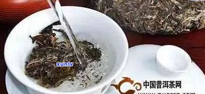 普洱茶与绿茶：女性健选择的综合指南