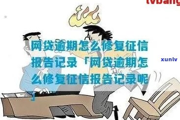 云南网贷逾期咨询如何解决