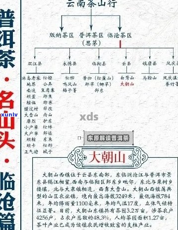 新 探索普洱茶山头茶的独特风味及其与产地的关系