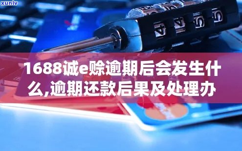 1688诚e赊逾期会怎样影响信用和后续交易