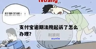 支付宝逾期法院要上门取证怎么应对