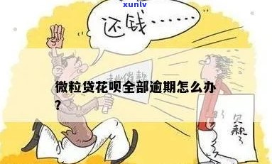 花呗微粒贷逾期暂时无法偿还怎么办