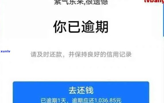 支付宝拒绝协商还款