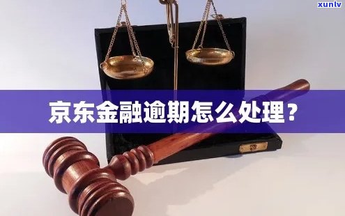 京东金融逾期借款处理流程