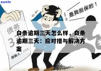 白条逾期三年可以免罚息吗