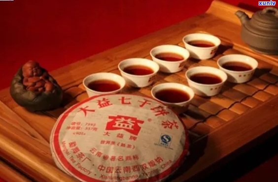 大益普洱茶珍品价格解析：最贵茶叶款式及其背后的故事