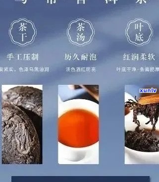 老马分享：熟普洱茶的价格及选购指南