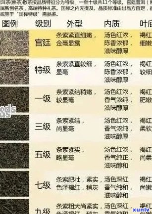 大益茶生普与其它品种对比：哪个口感更佳，哪个适合自己？