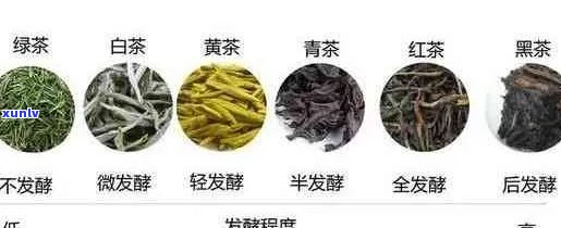 如何为男性顾客挑选合适的茶叶：一份全面指南