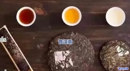 从价格到品质：探索数万元普洱茶的奥秘与选购指南