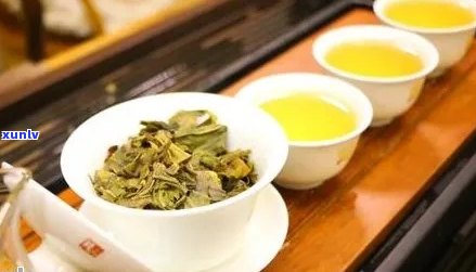 普洱茶好的推荐：品质优良，口感独特的茶叶汇总