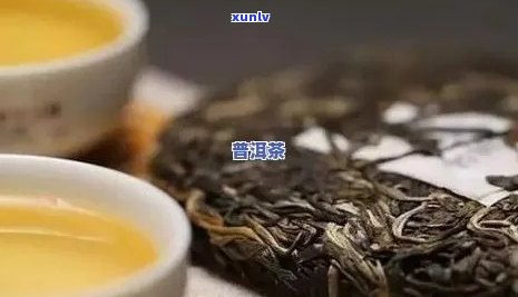 普洱茶好的推荐：品质优良，口感独特的茶叶汇总