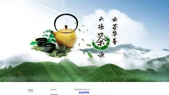 普洱茶招商网-普洱茶招商网官网