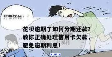 花呗信用卡逾期了怎么处理