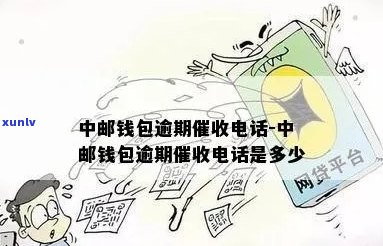 中邮钱包逾期后果